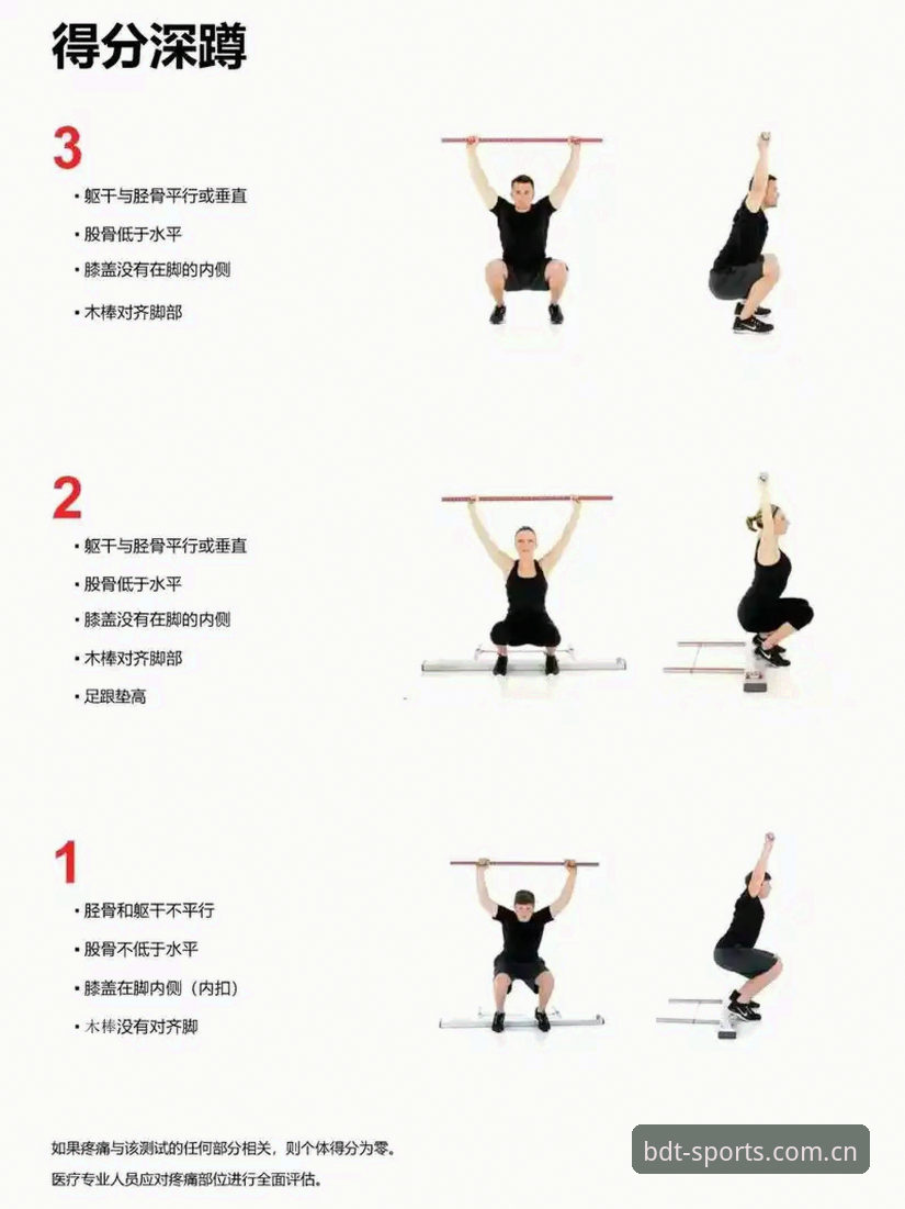 半岛体育综合BDT随时随地常见问题深度评测：从功能到体验的全面分析